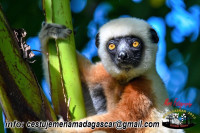 /album/fotogaleria-madagaskar/image-6483441-3-jpg/